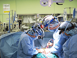 心臓血管外科手術