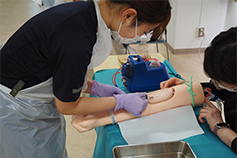 継続的な育成体制